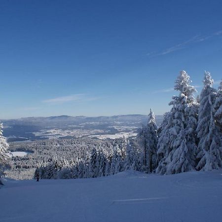 Gasthof Alte Post Bischofsmais Eksteriør billede