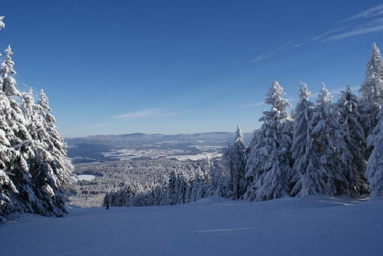 Gasthof Alte Post Bischofsmais Eksteriør billede